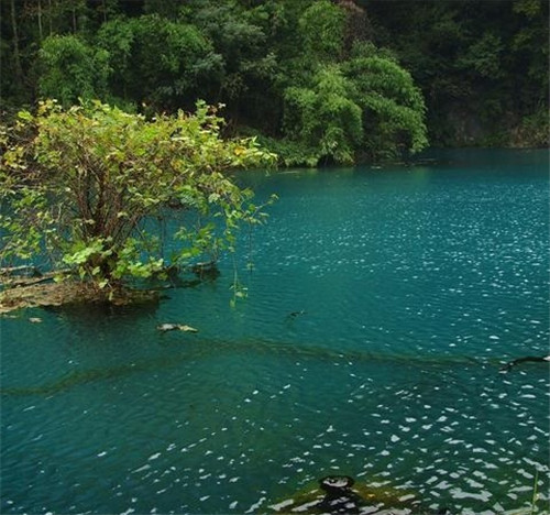 荔波樟江風景名勝區(qū)——中國的超級盆景