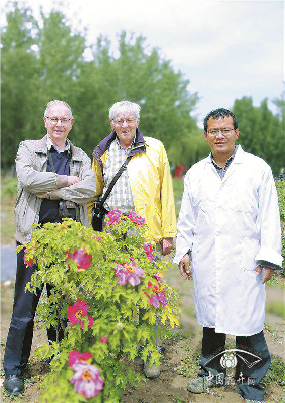 范保星 牡丹是一生的事業(yè)