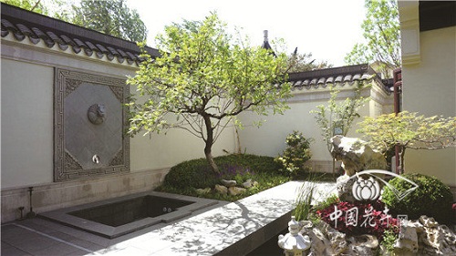 金銀花景觀應(yīng)用“多面手”