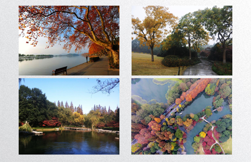 田如男:園林植物應用之思考