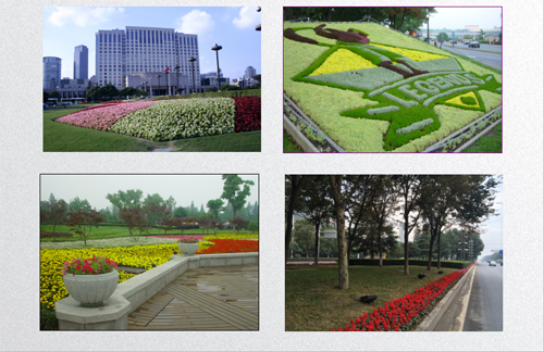 田如男:園林植物應用之思考