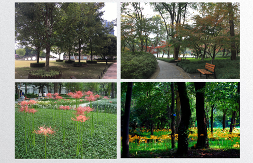 田如男:園林植物應用之思考