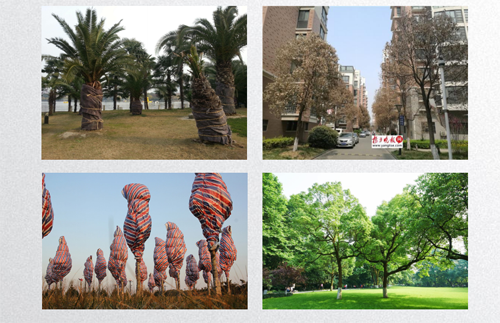 田如男:園林植物應用之思考