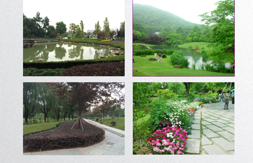 田如男:園林植物應用之思考