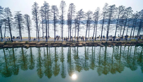 武漢緣何不再那么熱？城市植被如綠色空調