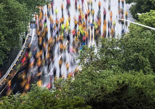 武漢緣何不再那么熱？城市植被如綠色空調