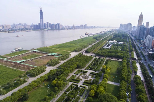 武漢緣何不再那么熱？城市植被如綠色空調