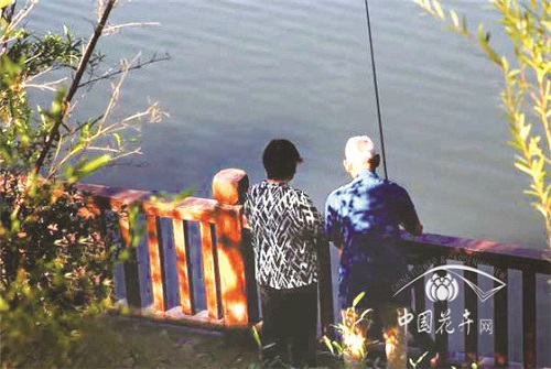 植物空間營造如何與康養結合?