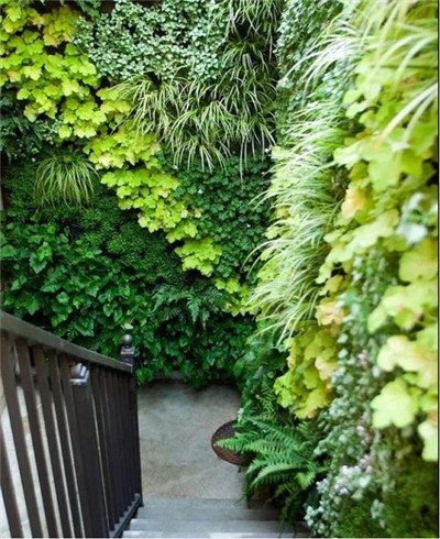 觀賞草在園林景觀中的運用