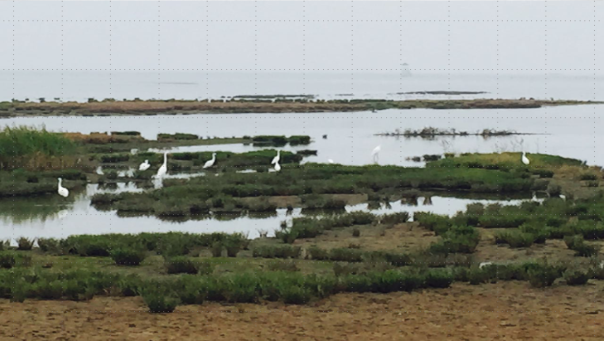 許大為：突破與演變——新理念下的公園城市建設