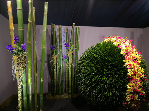 新加坡景觀專業考察 走進夢幻般的新加坡花園節