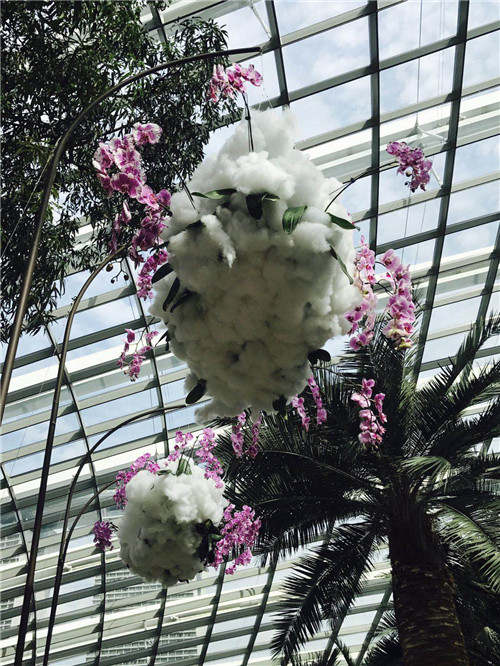 新加坡景觀專業考察 走進夢幻般的新加坡花園節