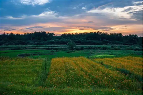 鄉村為底圖,設計為橋梁:2018第三屆國際高校建造大賽結果揭曉