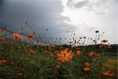 鄉村為底圖,設計為橋梁:2018第三屆國際高校建造大賽結果揭曉