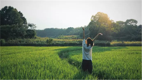 鄉村為底圖,設計為橋梁:2018第三屆國際高校建造大賽結果揭曉