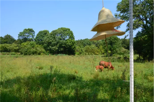 鄉村為底圖,設計為橋梁:2018第三屆國際高校建造大賽結果揭曉