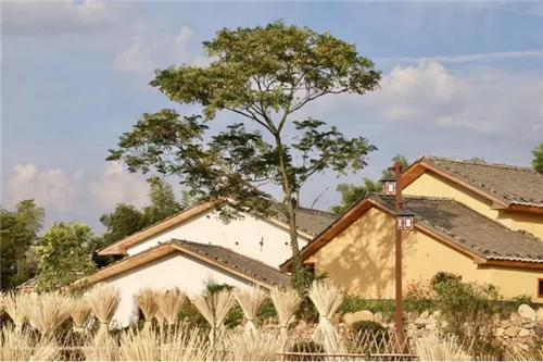 鄉村為底圖,設計為橋梁:2018第三屆國際高校建造大賽結果揭曉