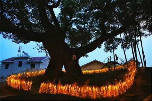 鄉村為底圖,設計為橋梁:2018第三屆國際高校建造大賽結果揭曉
