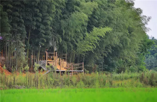 鄉村為底圖,設計為橋梁:2018第三屆國際高校建造大賽結果揭曉