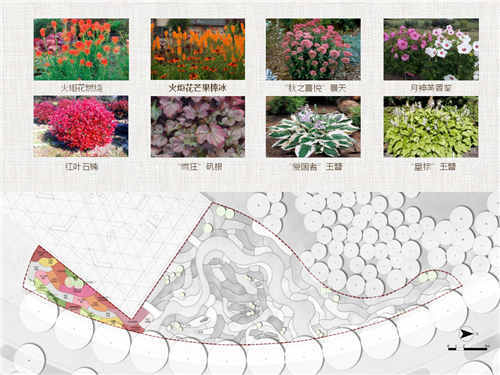 河北省第二屆(秦皇島)園博會花境創意作品——山海側 花間頤心