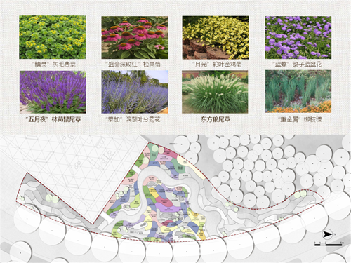 河北省第二屆(秦皇島)園博會花境創意作品——山海側 花間頤心