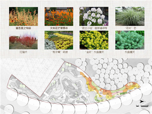 河北省第二屆(秦皇島)園博會花境創意作品——山海側 花間頤心