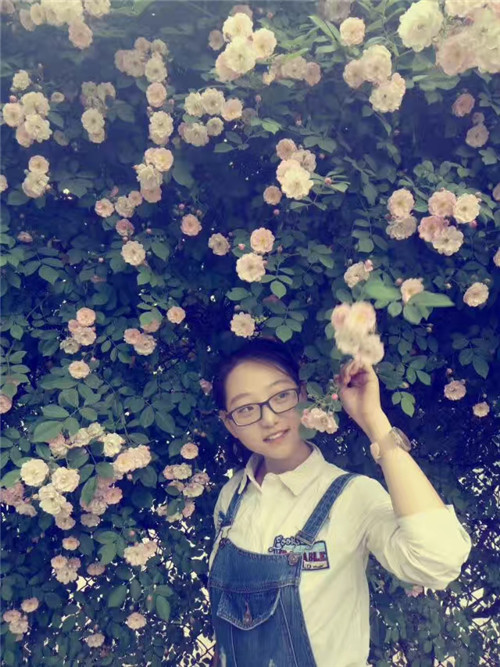 河北省第二屆（秦皇島）園博會花境創意作品——山·城·沙·海