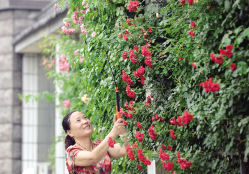 浙江嘉興:閑庭信步棲詩意