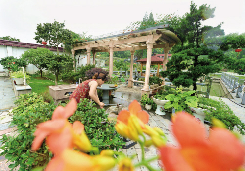 浙江嘉興:閑庭信步棲詩意