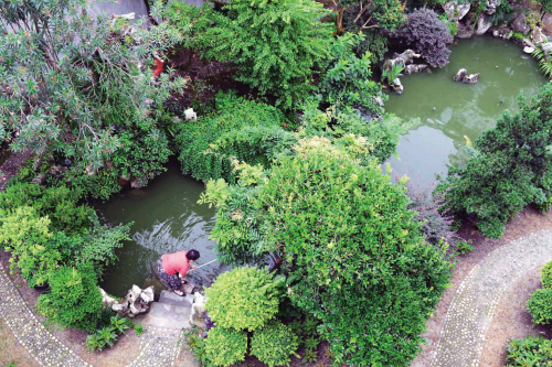 浙江嘉興:閑庭信步棲詩意