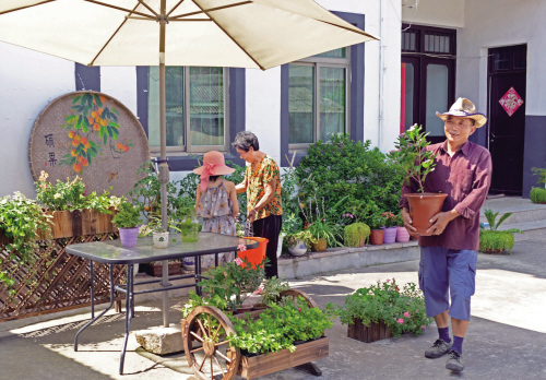 浙江嘉興:閑庭信步棲詩意