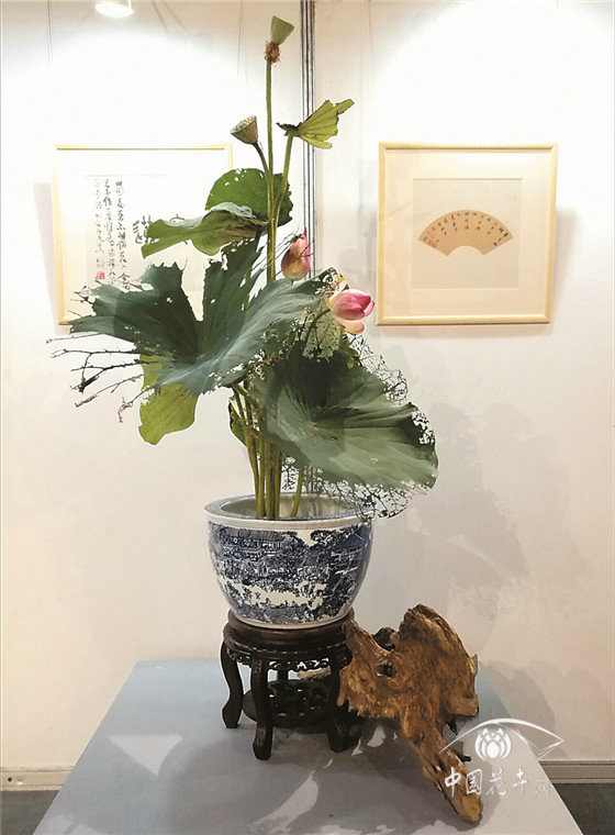 殘荷插花作品欣賞