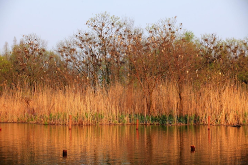 鄭占峰:營造城市山水風景