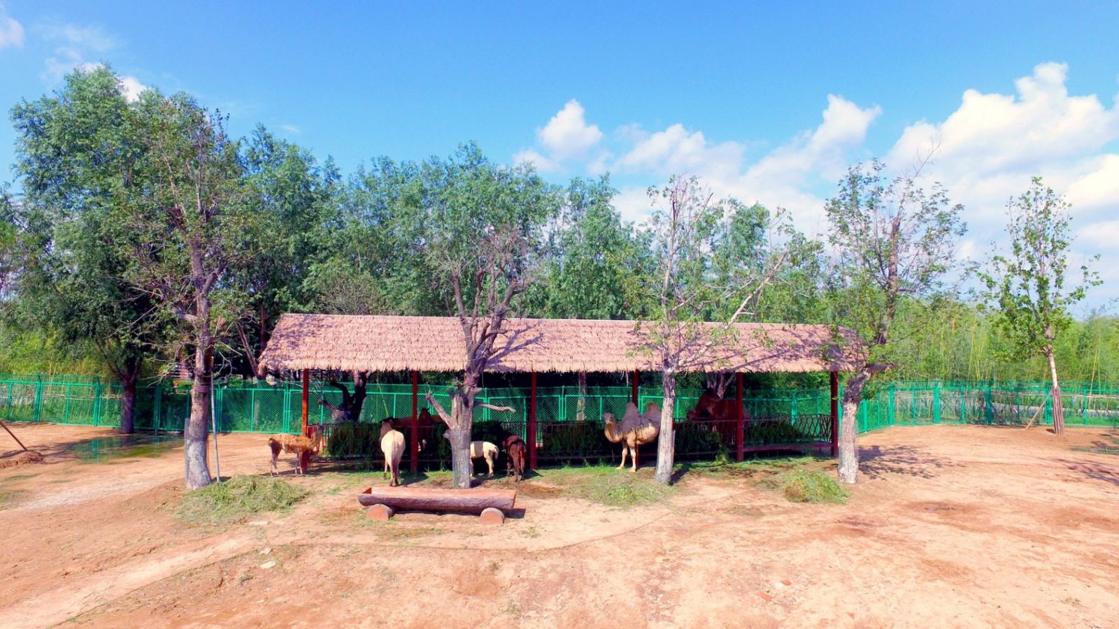園冶杯專業獎:臨沂動植物園散養區景觀設計