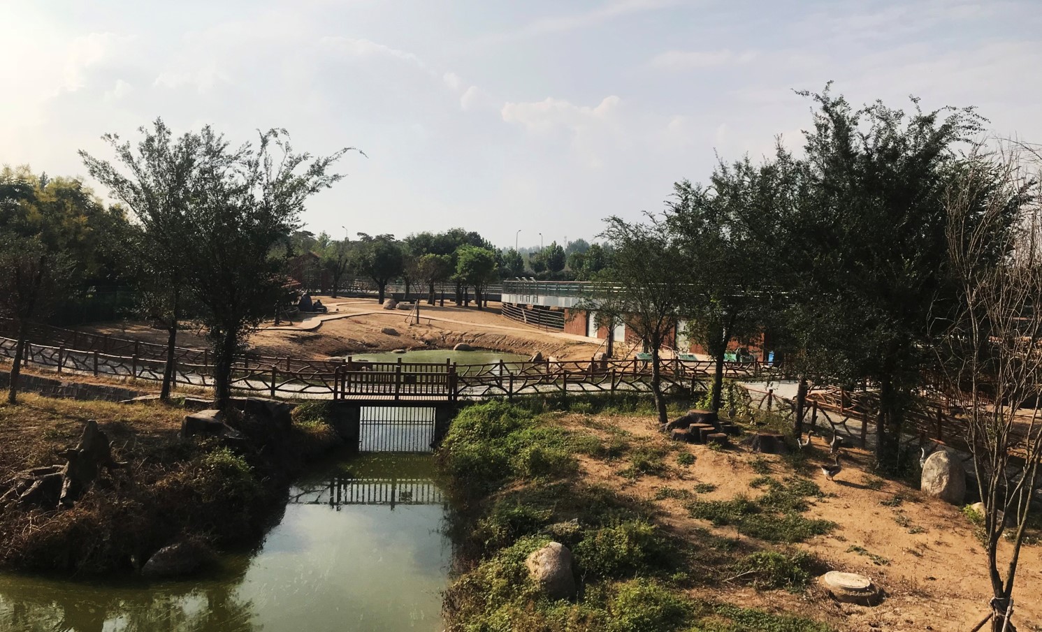 園冶杯專業獎:臨沂動植物園散養區景觀設計