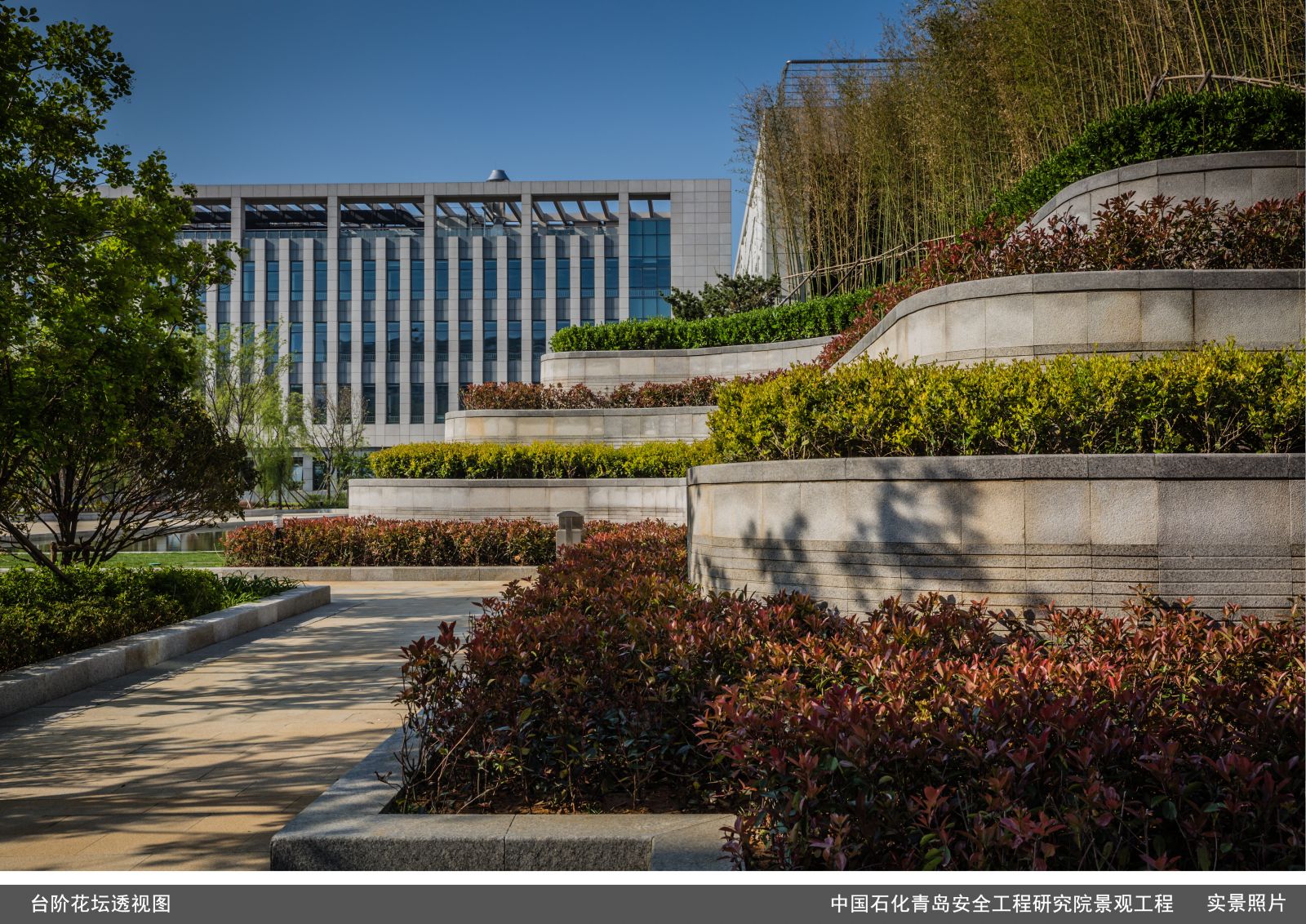 園冶杯專業獎:中國石化青島安全工程研究院景觀
