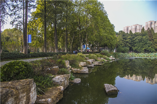 園冶杯專業獎：武漢環東湖綠道景觀方案設計