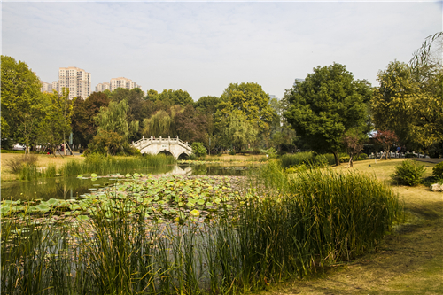 園冶杯專業獎：武漢環東湖綠道景觀方案設計