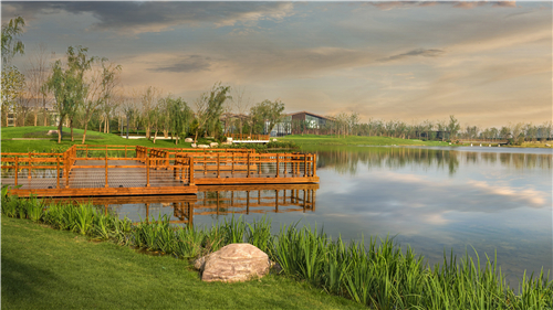 園冶杯專業(yè)獎:武陟龍澤湖公園