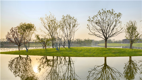 園冶杯專業(yè)獎:武陟龍澤湖公園