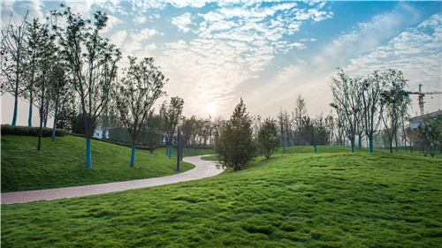 園冶杯專業(yè)獎:武陟龍澤湖公園