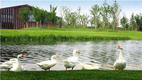 園冶杯專業(yè)獎:武陟龍澤湖公園