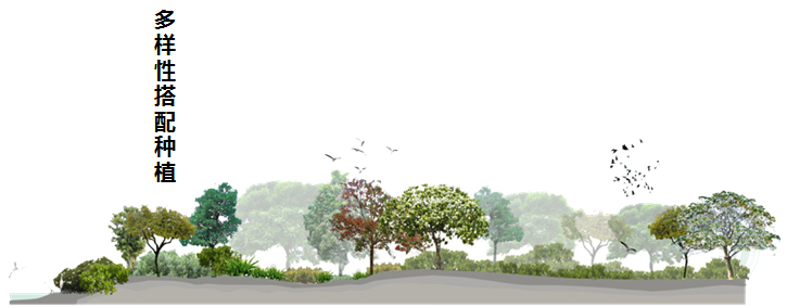 園冶杯專業獎:濟南章丘小東山濕地公園