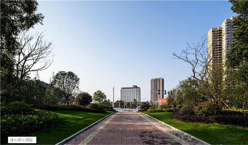 園冶杯專業(yè)獎：臨湘中心城區(qū)綠化改造工程