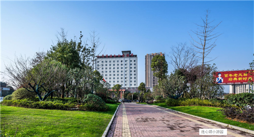 園冶杯專業(yè)獎：臨湘中心城區(qū)綠化改造工程