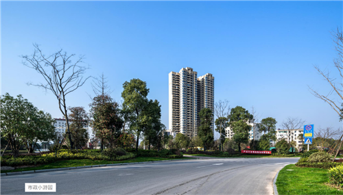 園冶杯專業(yè)獎：臨湘中心城區(qū)綠化改造工程