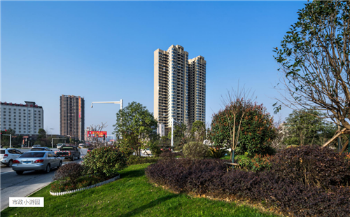 園冶杯專業(yè)獎：臨湘中心城區(qū)綠化改造工程