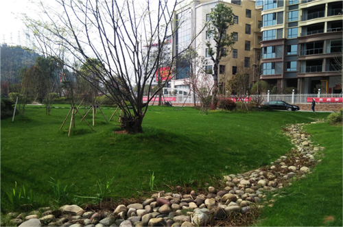 園冶杯專業(yè)獎：臨湘中心城區(qū)綠化改造工程