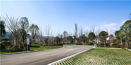 園冶杯專業(yè)獎：臨湘中心城區(qū)綠化改造工程