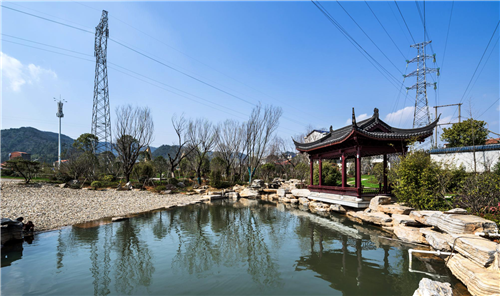 園冶杯專業(yè)獎：臨湘中心城區(qū)綠化改造工程